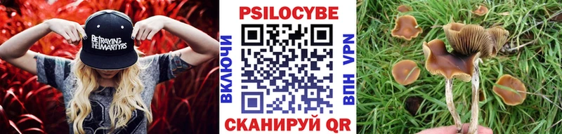 Галлюциногенные грибы мицелий  Мураши 