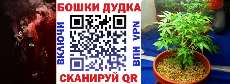 МАРИХУАНА ГИДРОПОН  Мураши 